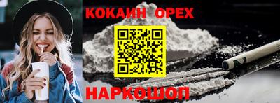гидра Моздок