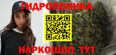 мет Можга