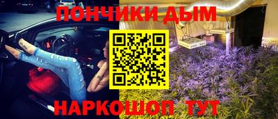гидра Моздок