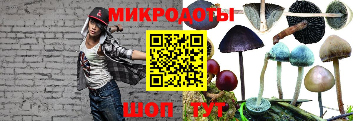 Тамбов  Псилоцибиновые грибы Cubensis  Вход с VPN  сколько стоит  Галлюциногенные грибы GOLDEN TEACHER 