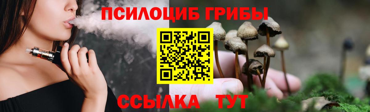 Галлюциногенные грибы прущие грибы Тамбов