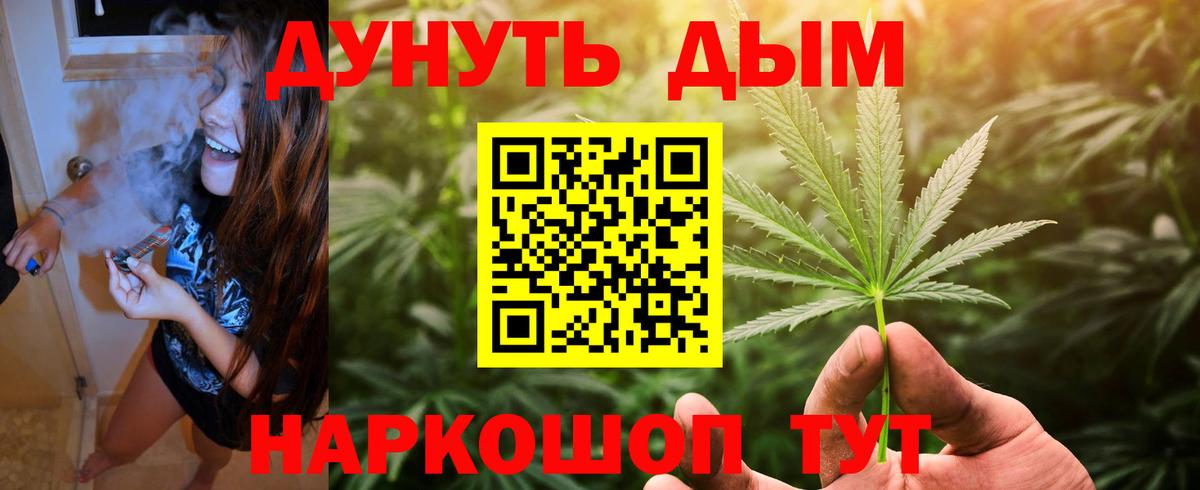 Тамбов  Шишки марихуана тримм  Шишки марихуана конопля  Шишки марихуана SATIVA & INDICA  Вход с VPN 